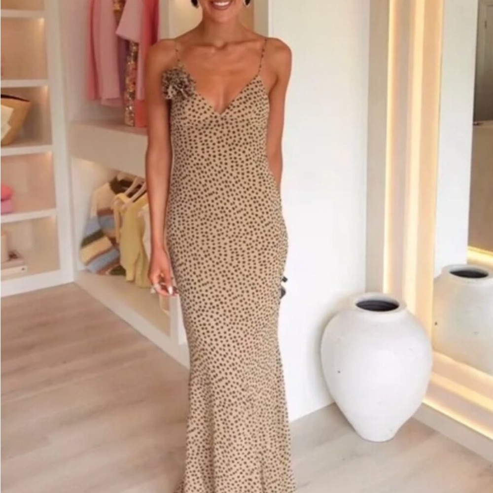 Zara Tan Maxi Dress with Black Dots (Fits like a Small size) - Picture 8 of 12